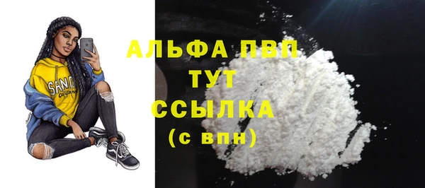 прущие грибы Магас
