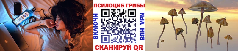 Галлюциногенные грибы мухоморы  Юхнов 